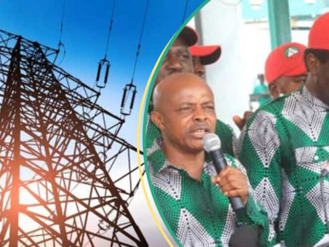 FESTUS V. NATIONAL UNION OF ELECTRICITY